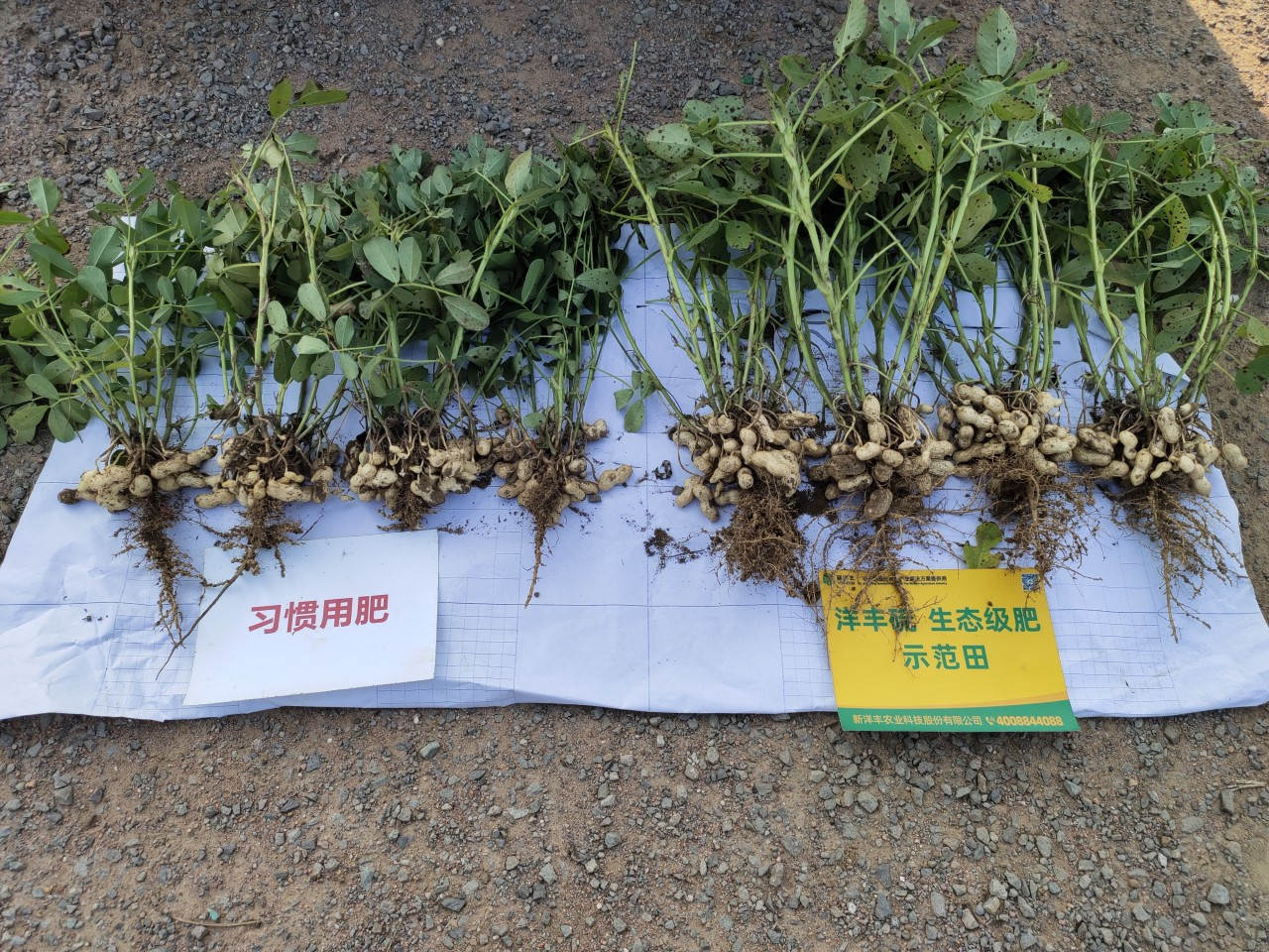 cab7f62543ac34e7e0f63dcba62426f.jpg