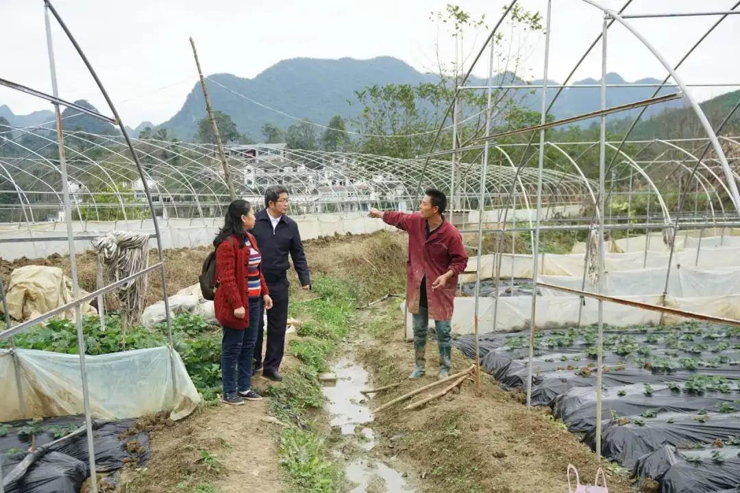 微信图片_20201024101956.jpg