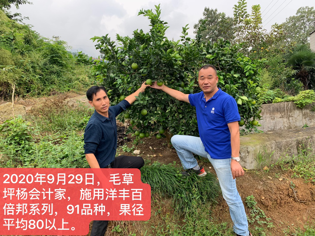 图片4.png