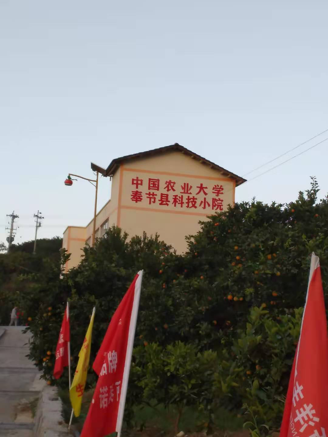 图片8.png