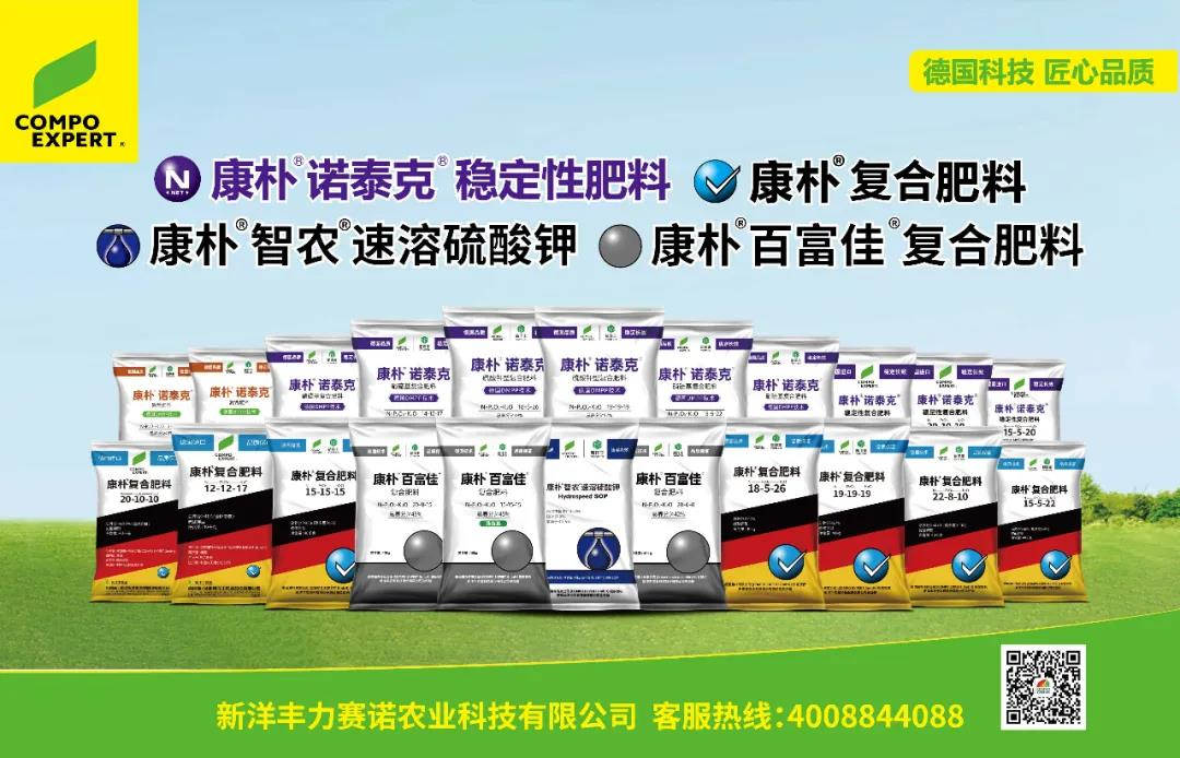 微信图片_20210216103942.jpg