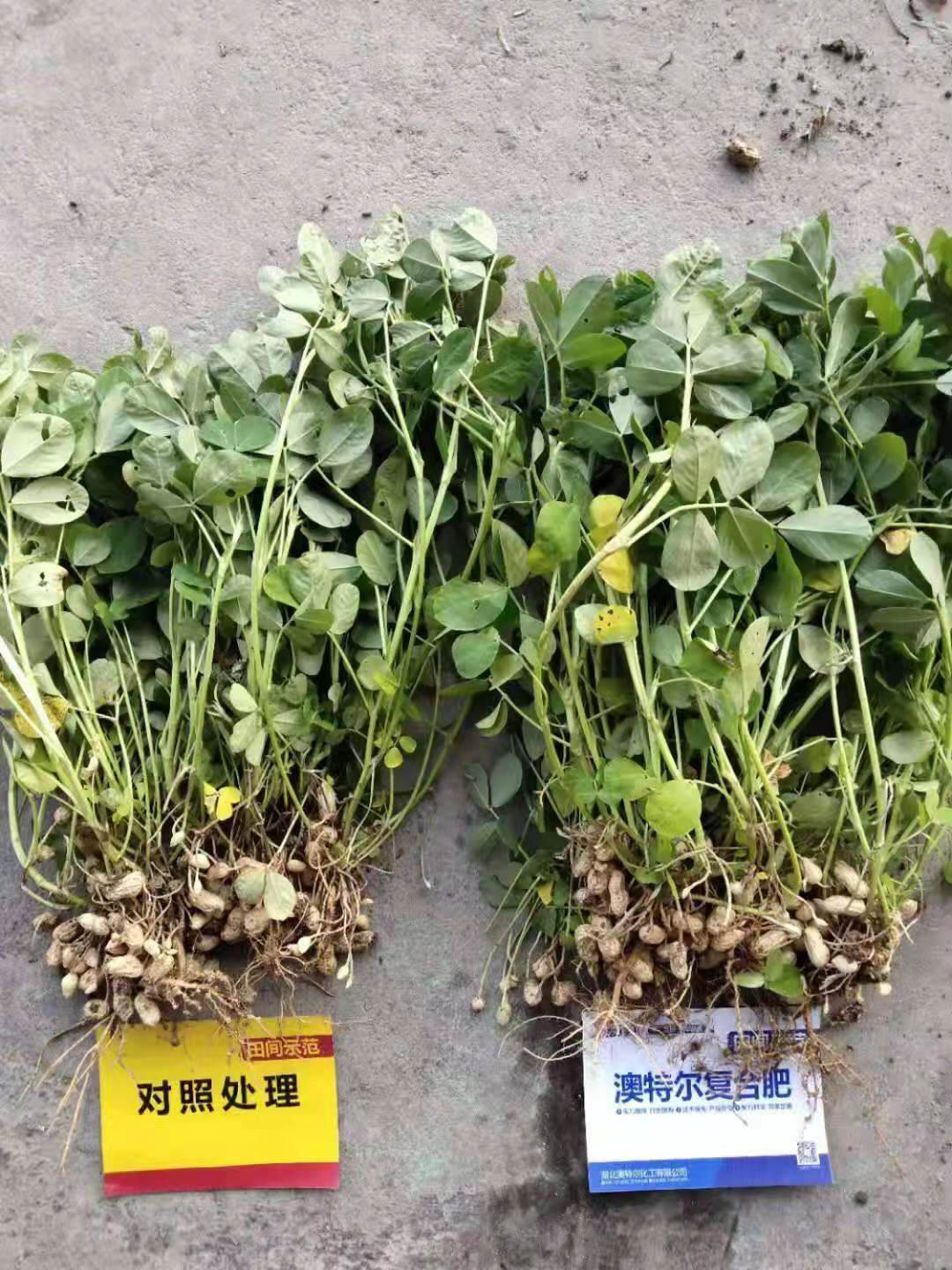 微信图片_202103111344412.jpg