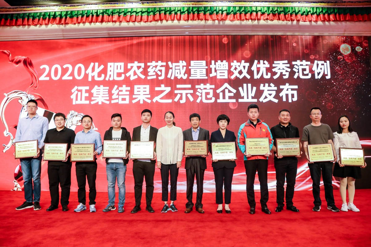 图片1 “示范企业”获奖合照 betway88西汉姆联副总裁包雪梅领奖左四.jpg