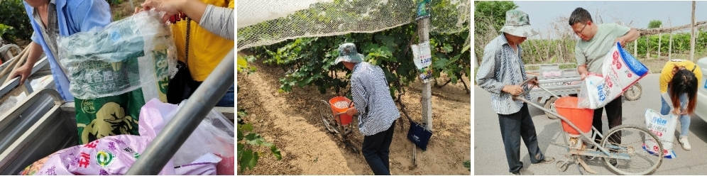 5月份，技术员跟踪指导施肥.jpg